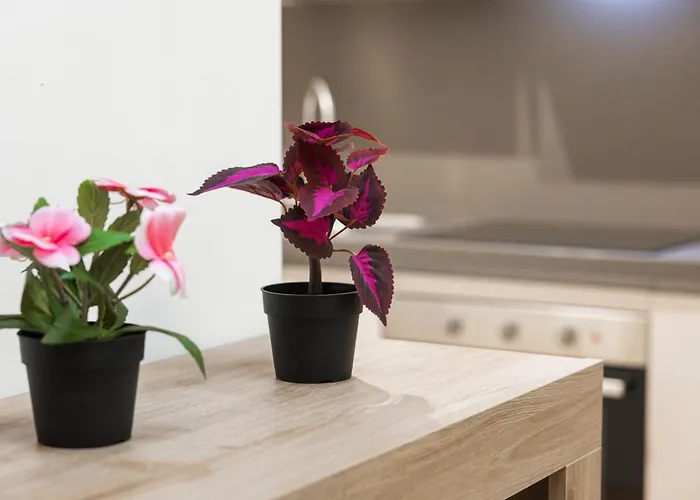 Serlio Luxury House Near Center, Station